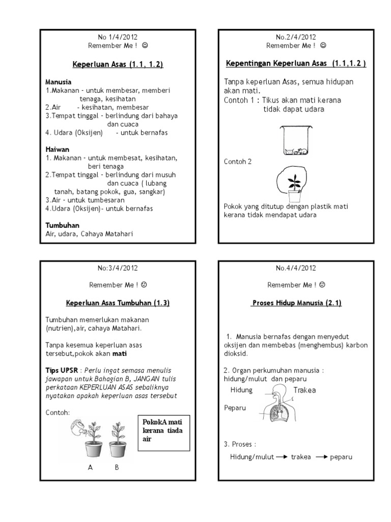 Box Kad Memori Tahun 4 Pdf