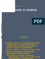 GRASAS_O_LIPIDOS