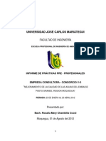 PRACTICAS PRE-PROFESIONALES - CONSORCIO (3meses) PDF