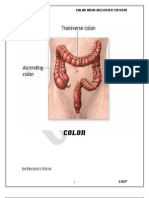 Colon: Colon Drug Delivery System