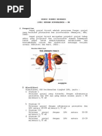 Download Laporan Pendahuluan Ckd Hipokalemia by Rya ShishukaDora BQ SN236272960 doc pdf