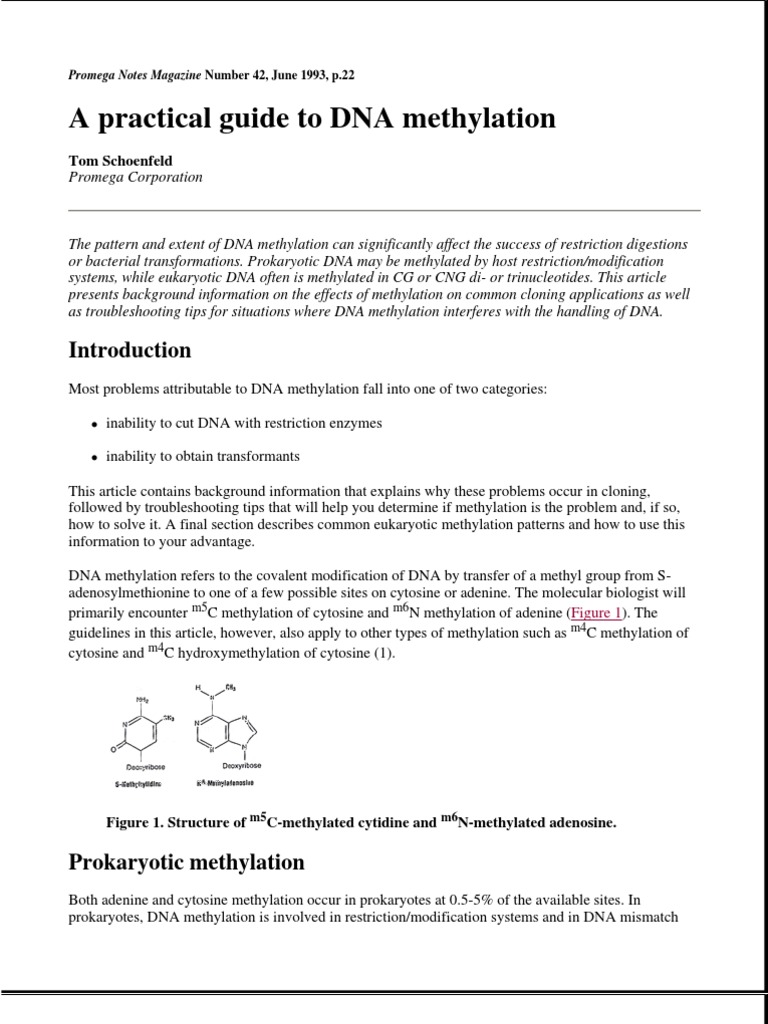 A Practical Guide To DNA Methylation | PDF | Dna Methylation ...