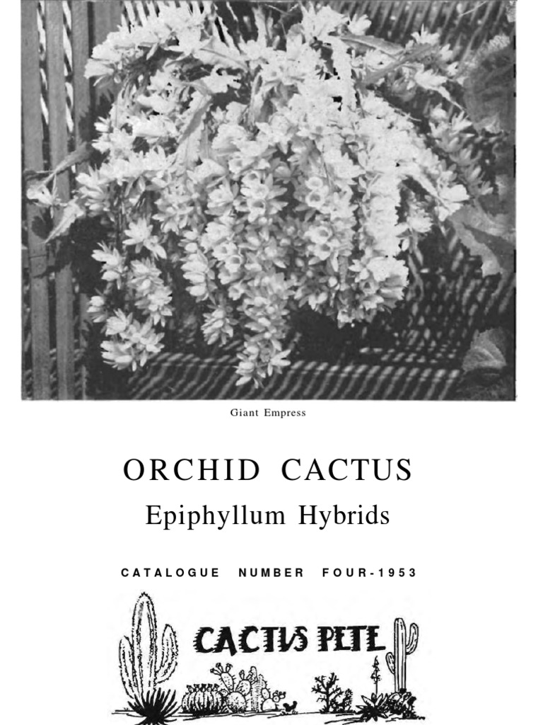 Orchid Cactus Catalogue 1953 | PDF | Botany | Horticulture And Gardening