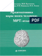 Arkhitektonika Kory Mozga Cheloveka MRT-Atlas