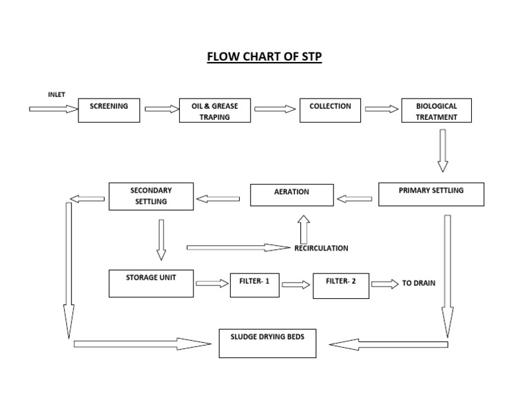 STP Process Flowchart Guide | PDF