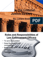 Inside The Criminal Justice System