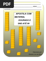 Apostila Com Material Dourado e SND