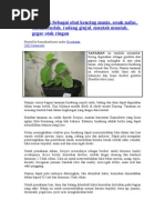 Download BINAHONG Sebagai Obat Kencing Manis by ayom ridwan SN23636757 doc pdf