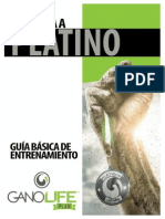 Sprint to Platinum Guide Spanish v1 4