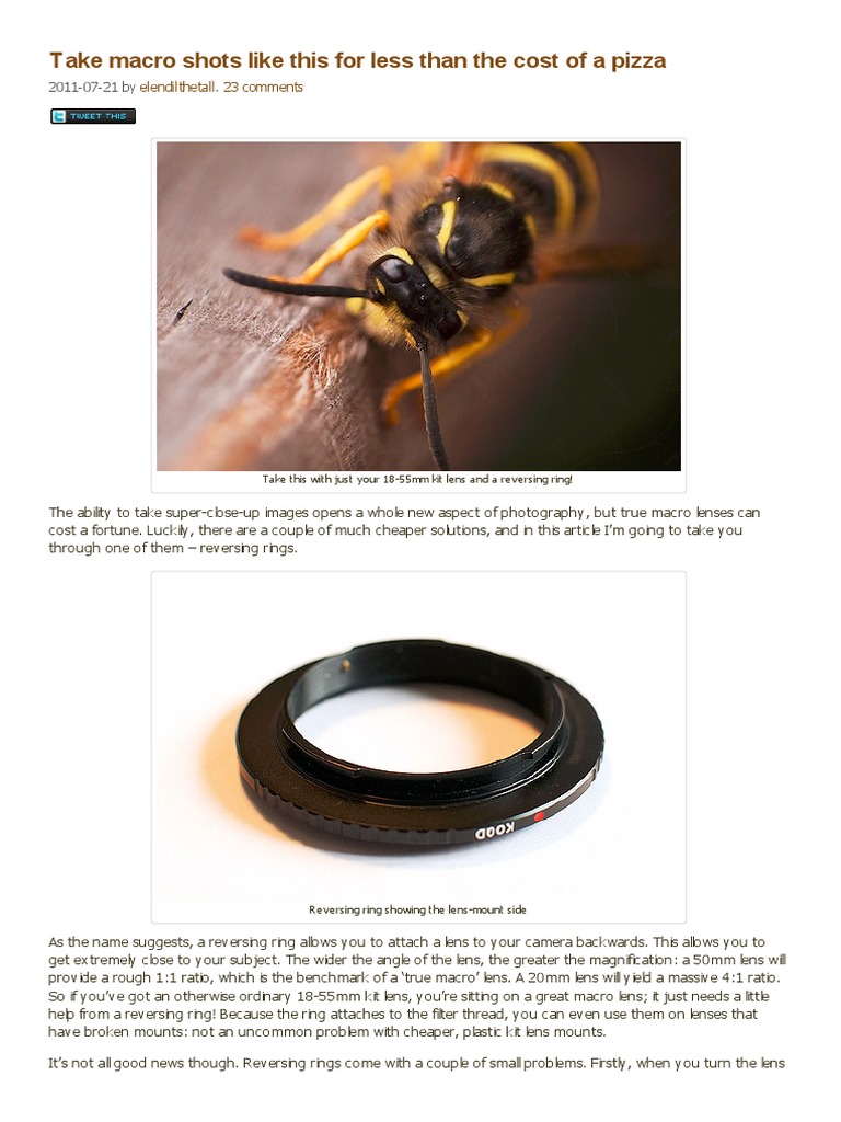 Macro Photography on a Budget | PDF | Macro Photography | Camera Lens