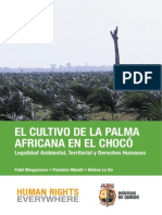 Palma Africana Choco