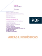 Areas Linguísticas Letras
