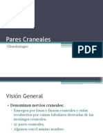 Pares Craneales