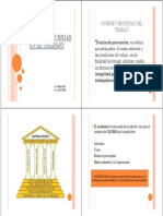 Higiene y Seguridad Laboral PDF
