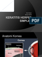 Keratitis Herpes Simplex-Hsv