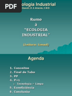 Ecologia Industrial_Compilado 2013.ppt