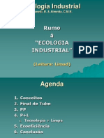 Ecologia Industrial_Compilado 2013.ppt