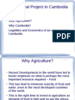 Cambodia Agro Project