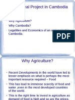 Agricultural Project in Cambodia Yields High Profits