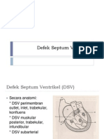 Defek Septum Ventrikel