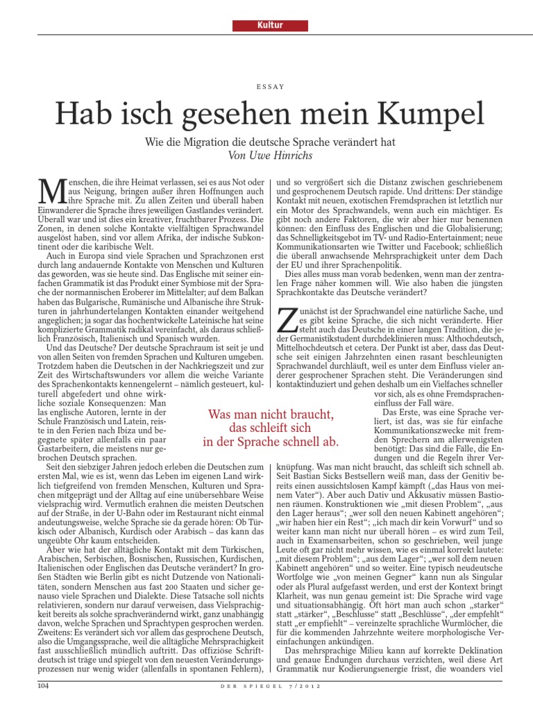 How are immigrants treated in germany picture