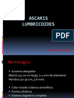 Ascaris Lumbricoides