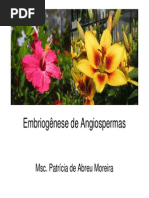 Embriogênese de Angiospermas