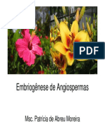 Embriogênese de Angiospermas