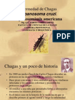 Enfermedad de Chagas Trypanosoma Cruzi
