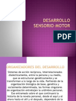 Desarrollo Sensorio Motor 2013