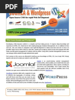 Professional Web Development Using Joomla and Wordpress