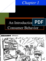 An Introduction To Consumer Behavior