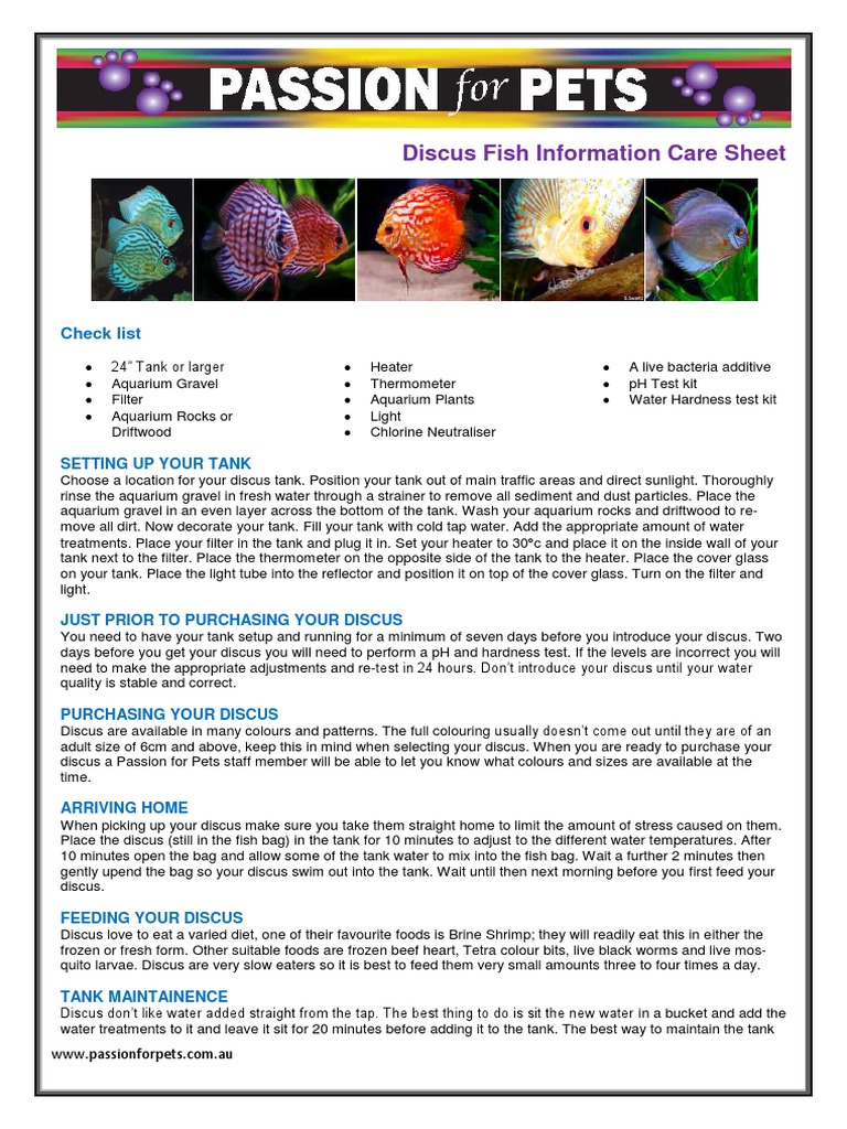 Discus Care Sheet Aquarium Spawn (Biology)