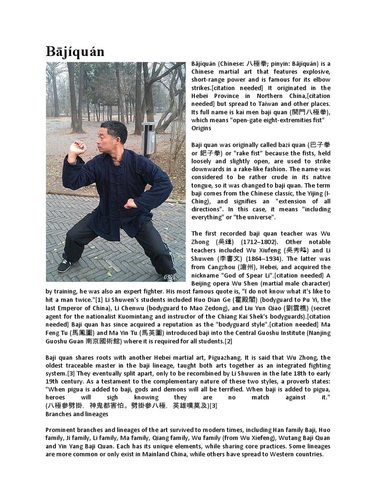 Bājíquán PDF Chinese Martial Arts China