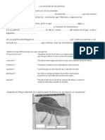 Conocimiento Tema 4(7)