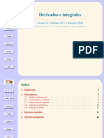 Derivadasyprimitivastrasp PDF