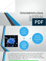 FENOMENOLOGIA