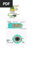 Imprime Ai Amiguinha e Não Esquece Do Livro Amanhã