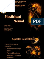 seminarioplasticidad-120627191549-phpapp02