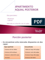 Compartimiento Antebraquial Posterior