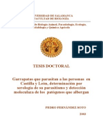 Tesis Pedro Fern%C3%A1ndez Soto