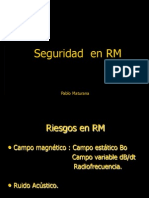 Seguridad RM