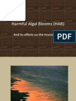 Harmful Algal Blooms (HAB) : and Its Effects On The Environment