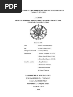 Download Acara 3  Pengaruh Transplanting terhadap Pertumbuhan dan Perkembangan Tanaman by Rivandi Pranandita Putra SN236564006 doc pdf