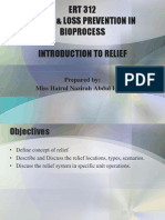 Introduction To Relief
