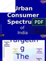 Indicus Consumer Spectrum - District Level
