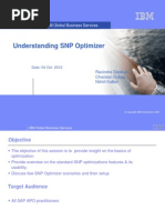 Undertanding SNP Optimizer.2.0