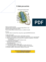 WWW - Referat.ro Celulaprocariota E6927