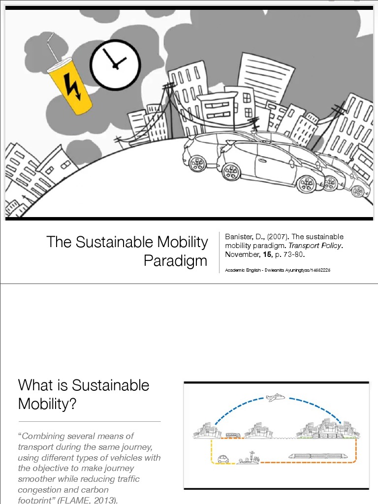 Sustainable Mobility Paradigm | PDF | Sustainable Transport ...