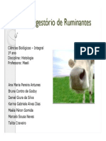seminario_ruminantes